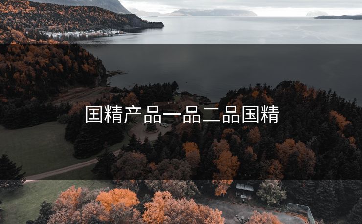 囯精产品一品二品国精
