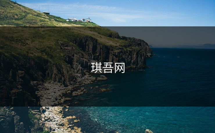琪吾网