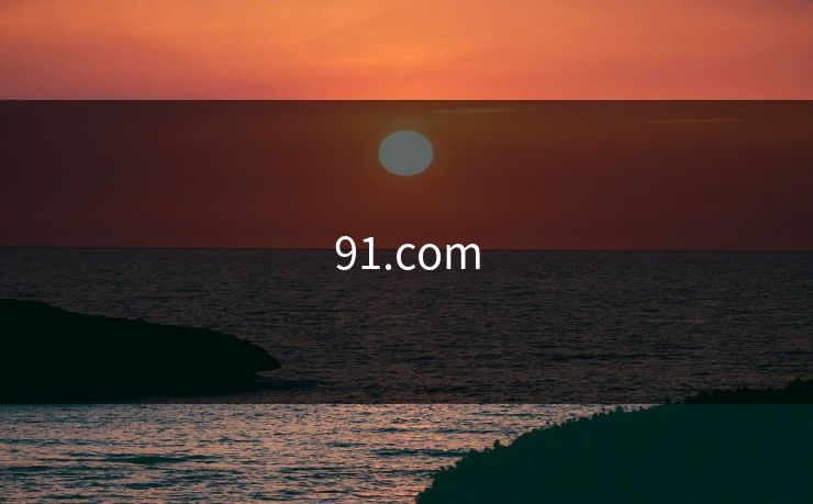 91.com
