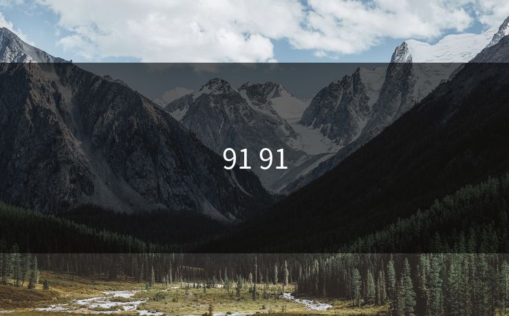 91 91