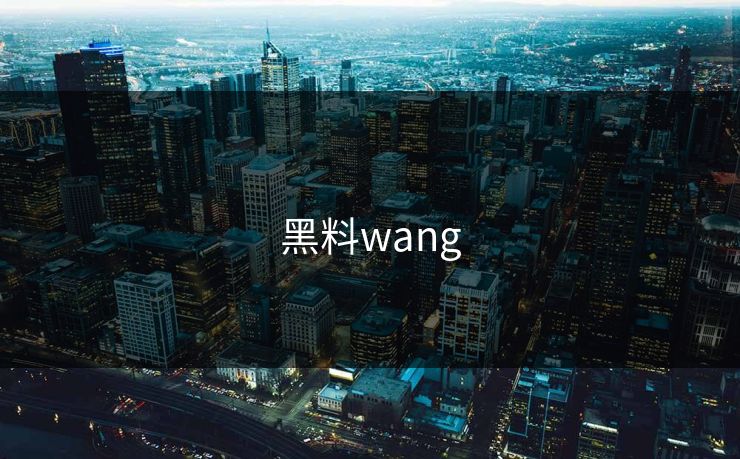 黑料wang