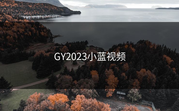 GY2023小蓝视频
