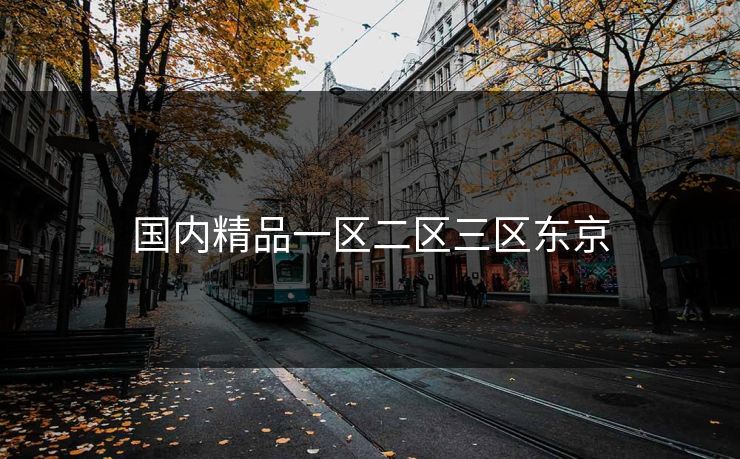 国内精品一区二区三区东京