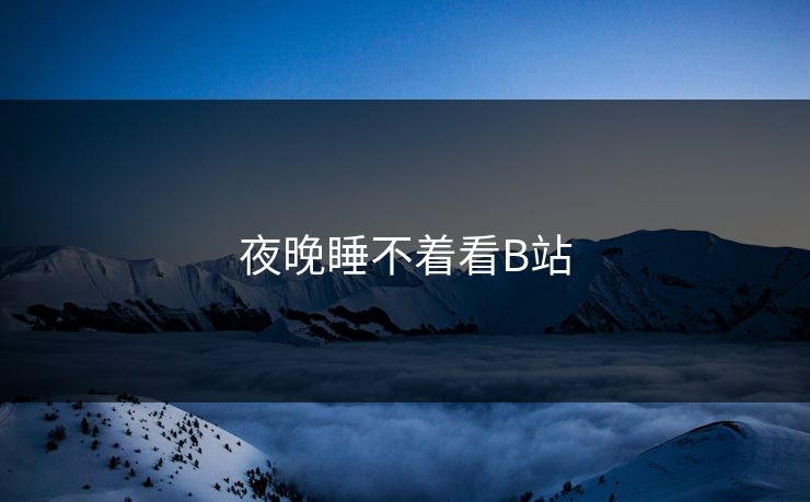 夜晚睡不着看B站