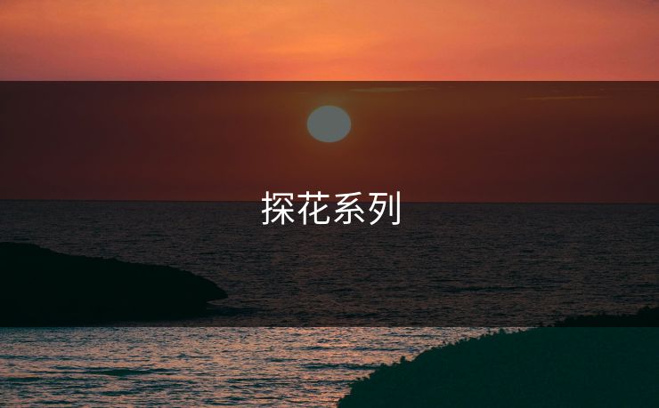 探花系列 探花系列
