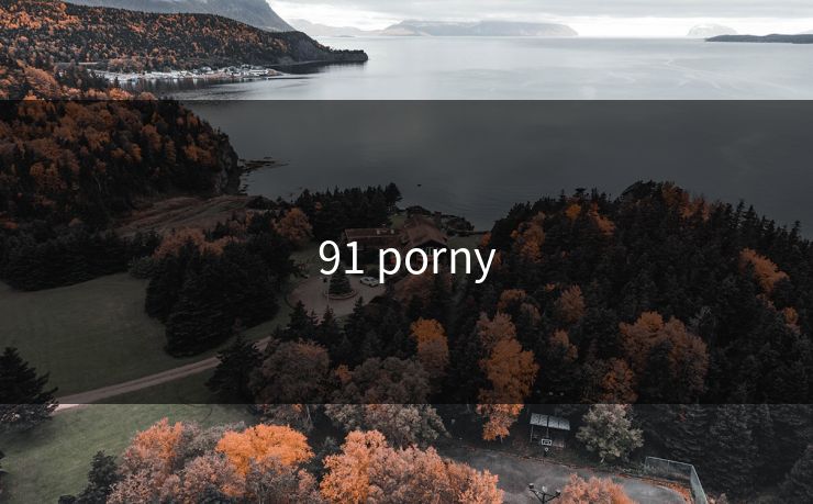 91 porny